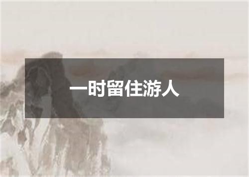 一时留住游人