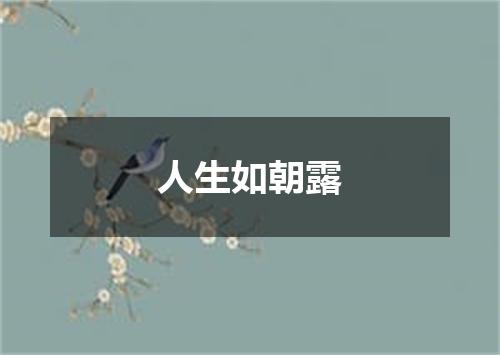 人生如朝露