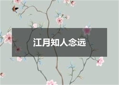 江月知人念远
