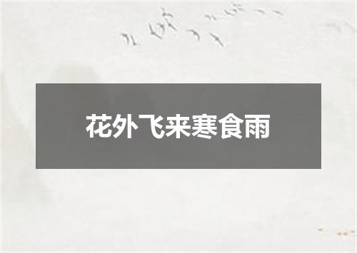 花外飞来寒食雨
