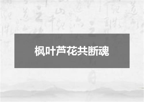 枫叶芦花共断魂