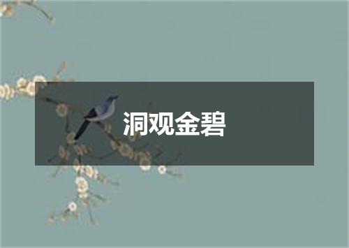 洞观金碧