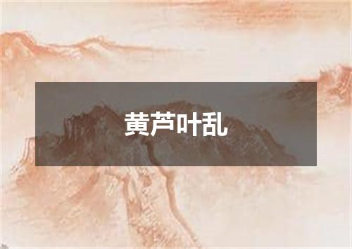黄芦叶乱