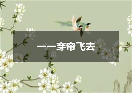 一一穿帘飞去