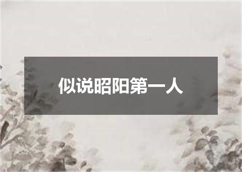 似说昭阳第一人