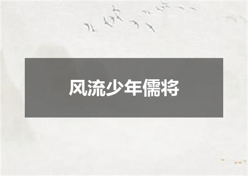 风流少年儒将