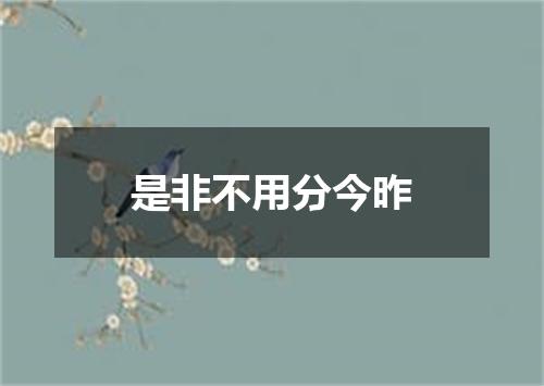 是非不用分今昨