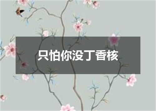 只怕你没丁香核