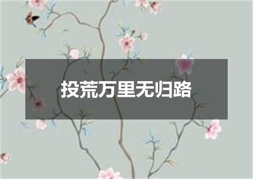 投荒万里无归路
