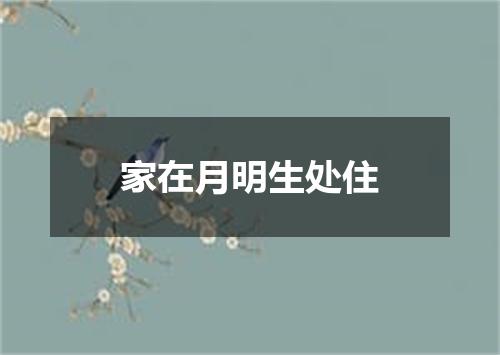 家在月明生处住