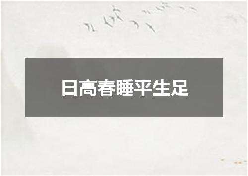 日高春睡平生足
