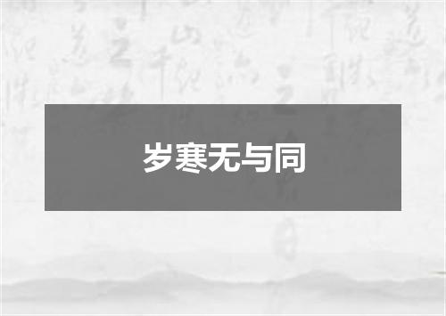 岁寒无与同