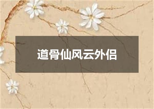 道骨仙风云外侣