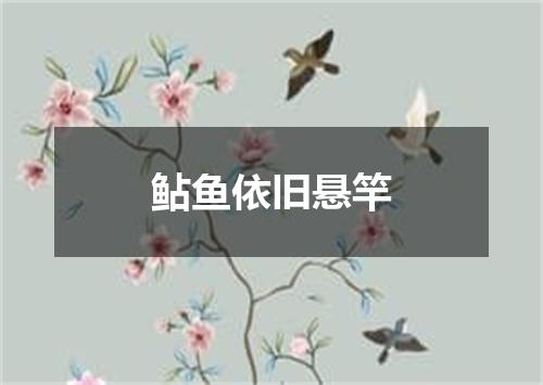 鲇鱼依旧悬竿