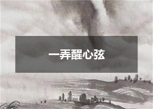 一弄醒心弦