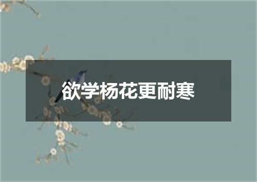 欲学杨花更耐寒