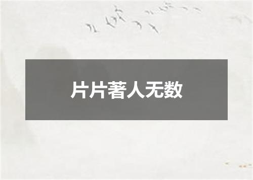 片片著人无数