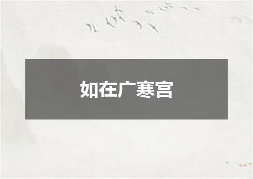 如在广寒宫