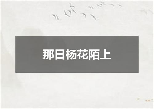 那日杨花陌上