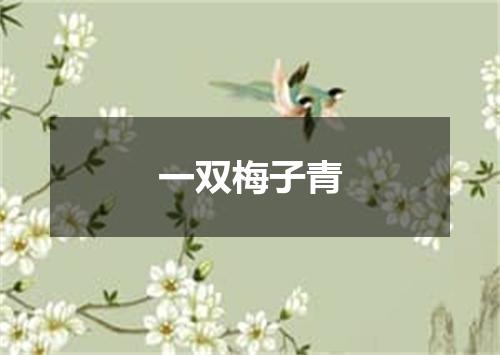 一双梅子青