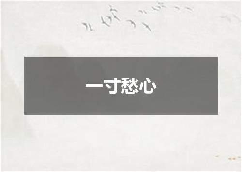 一寸愁心