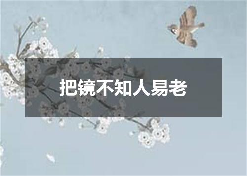 把镜不知人易老