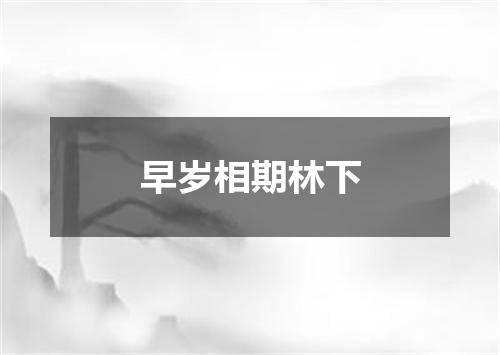 早岁相期林下