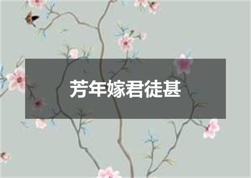 芳年嫁君徒甚
