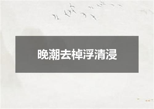 晚潮去棹浮清浸