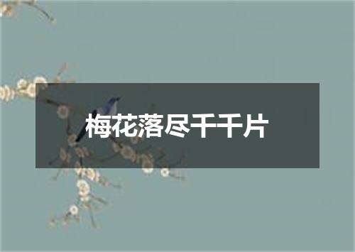 梅花落尽千千片