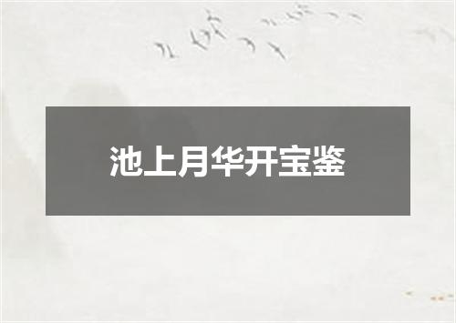 池上月华开宝鉴