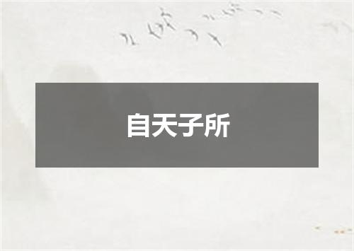 自天子所