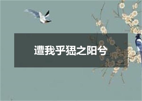 遭我乎峱之阳兮