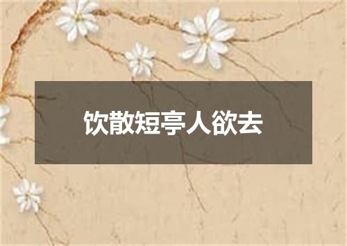 饮散短亭人欲去