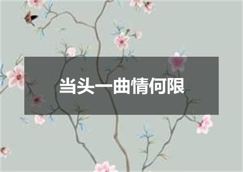 当头一曲情何限