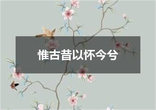 惟古昔以怀今兮