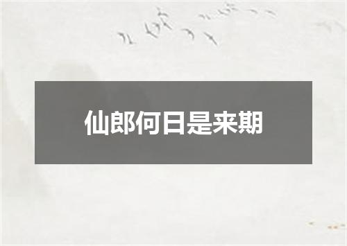 仙郎何日是来期