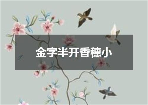 金字半开香穗小