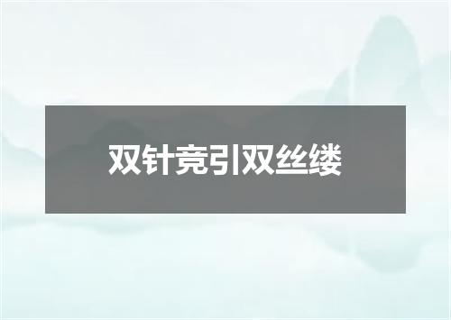 双针竞引双丝缕