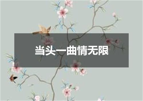 当头一曲情无限