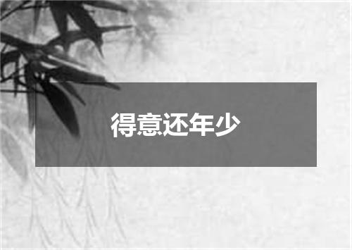 得意还年少