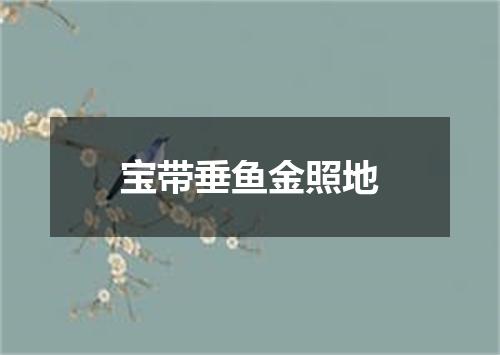 宝带垂鱼金照地