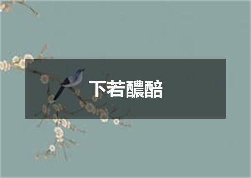 下若醲醅