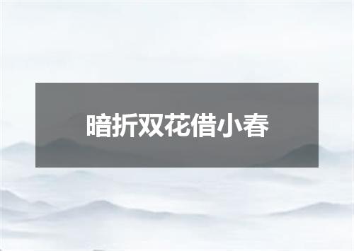 暗折双花借小春