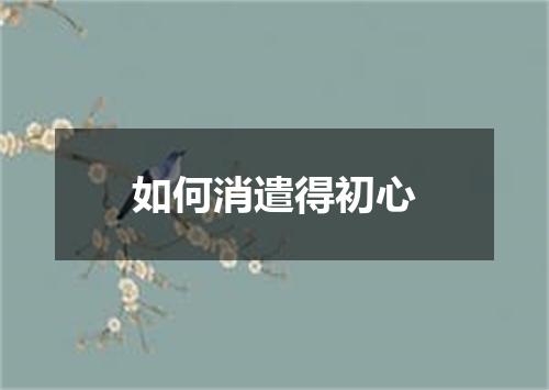 如何消遣得初心