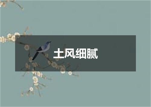 土风细腻