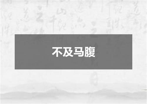 不及马腹