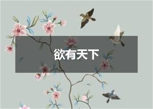 欲有天下