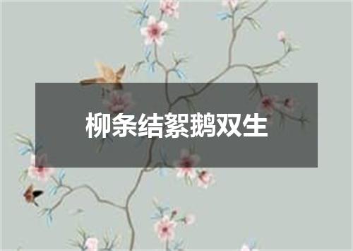 柳条结絮鹅双生