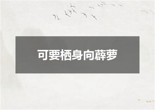 可要栖身向薜萝